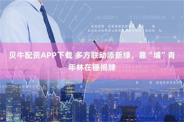 贝牛配资APP下载 多方联动添新绿，靠“埔”青年林在穗揭牌