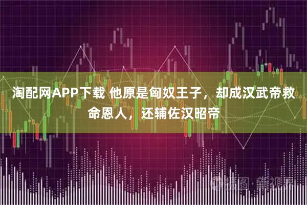 淘配网APP下载 他原是匈奴王子，却成汉武帝救命恩人，还辅佐汉昭帝
