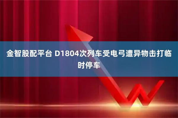 金智股配平台 D1804次列车受电弓遭异物击打临时停车