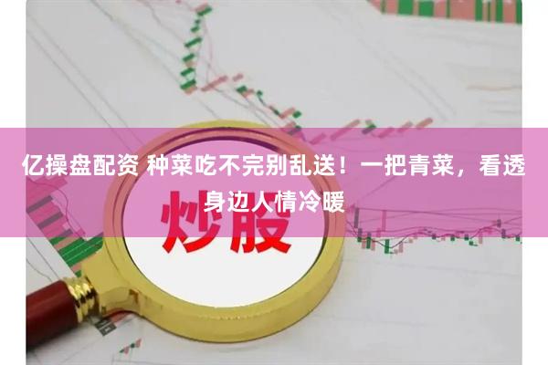 亿操盘配资 种菜吃不完别乱送！一把青菜，看透身边人情冷暖