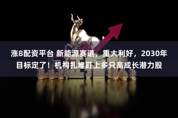涨8配资平台 新能源赛道，重大利好，2030年目标定了！机构扎堆盯上多只高成长潜力股