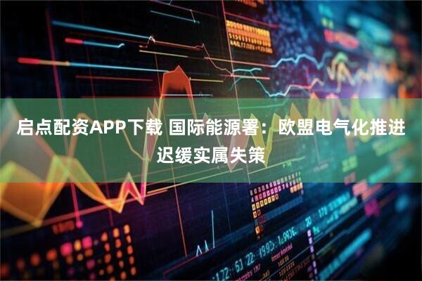 启点配资APP下载 国际能源署：欧盟电气化推进迟缓实属失策